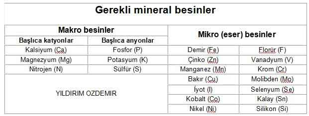 Gerekli Mineral Besinler