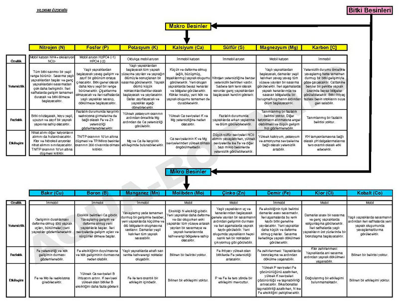 Akvaryum Bitkilerinde Beslenme Bozuklukları 1. Tablo